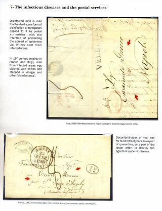 MICROBES IN ACTION – sheet 10
