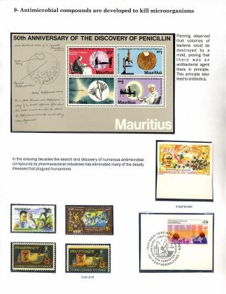 MICROBES IN ACTION – sheet 14