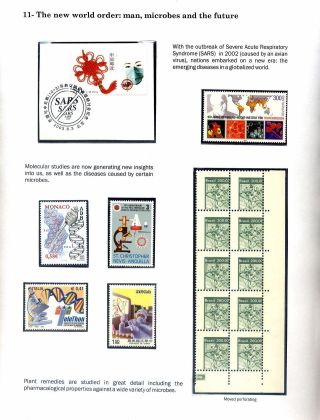 MICROBES IN ACTION – sheet 15