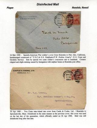 DESINFIZIERTE POST – Blatt 81