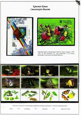 BUTTERFLIES FROM THE RED BOOK OF SMOLENSK REGION – sheet 2
