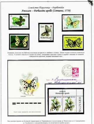 BUTTERFLIES FROM THE RED BOOK OF SMOLENSK REGION – sheet 3