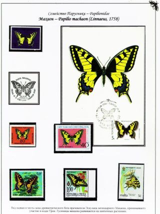 BUTTERFLIES FROM THE RED BOOK OF SMOLENSK REGION – sheet 4