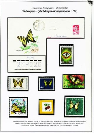 BUTTERFLIES FROM THE RED BOOK OF SMOLENSK REGION – sheet 5