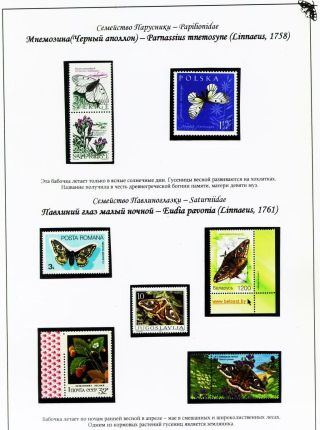 BUTTERFLIES FROM THE RED BOOK OF SMOLENSK REGION – sheet 6