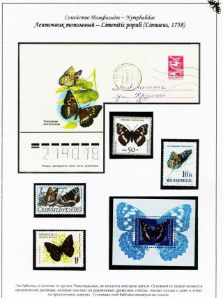 BUTTERFLIES FROM THE RED BOOK OF SMOLENSK REGION – sheet 8