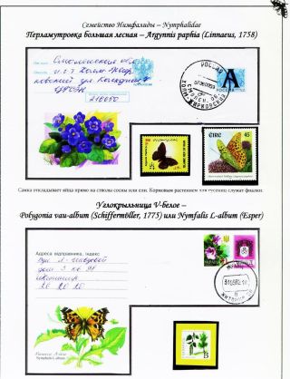 BUTTERFLIES FROM THE RED BOOK OF SMOLENSK REGION – sheet 10
