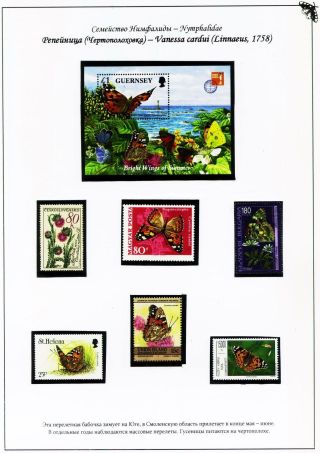 BUTTERFLIES FROM THE RED BOOK OF SMOLENSK REGION – sheet 11