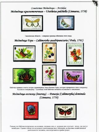 BUTTERFLIES FROM THE RED BOOK OF SMOLENSK REGION – sheet 13
