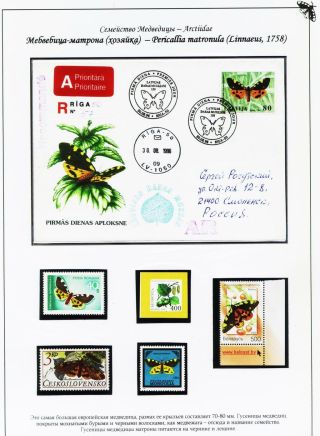 BUTTERFLIES FROM THE RED BOOK OF SMOLENSK REGION – sheet 14