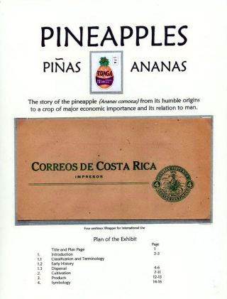 PINEAPPLES – sheet 1
