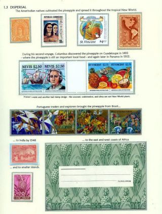 PINEAPPLES – sheet 4