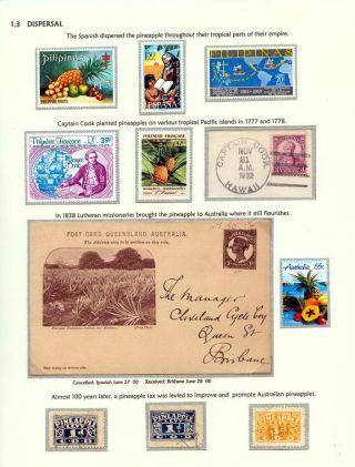 PINEAPPLES – sheet 5