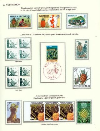 PINEAPPLES – sheet 7