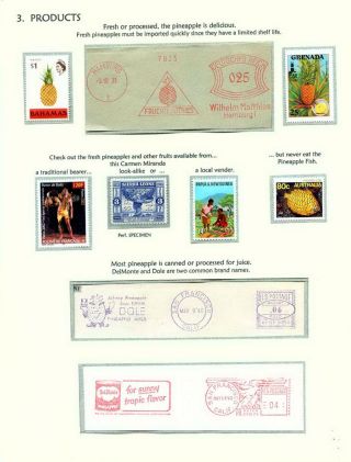 PINEAPPLES – sheet 10