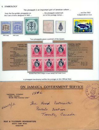 PINEAPPLES – sheet 14