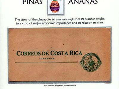 ANANAS