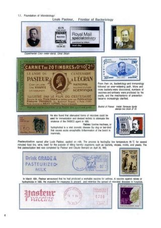 STRUGGLES AGAINST INFECTION – sheet 6