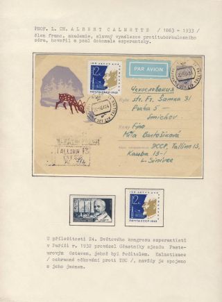 WHAT PHILATELY SAYS ABOUT ESPERANTO (BRIEF HISTORY) – sheet 14