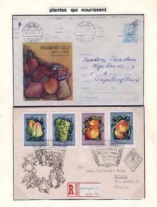 PLANT LIFE ON EARTH – sheet 8