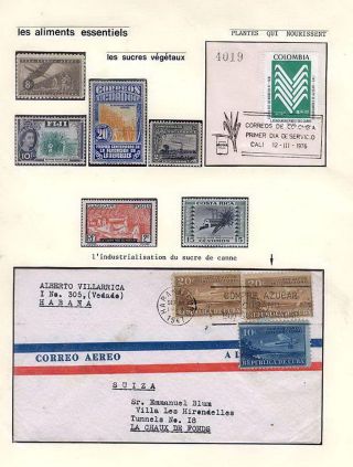 PLANT LIFE ON EARTH – sheet 9