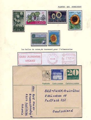 PLANT LIFE ON EARTH – sheet 17