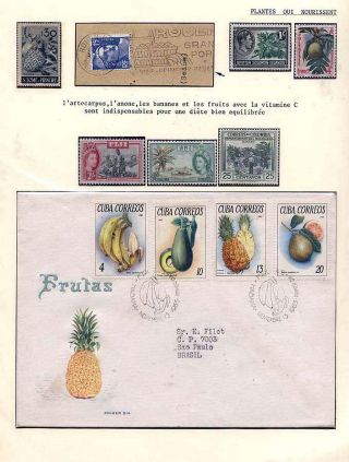 PLANT LIFE ON EARTH – sheet 26