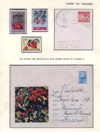 PLANT LIFE ON EARTH – sheet 28