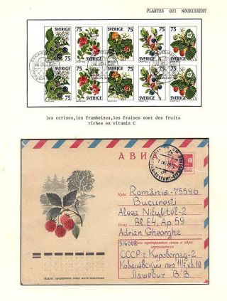 PLANT LIFE ON EARTH – sheet 30