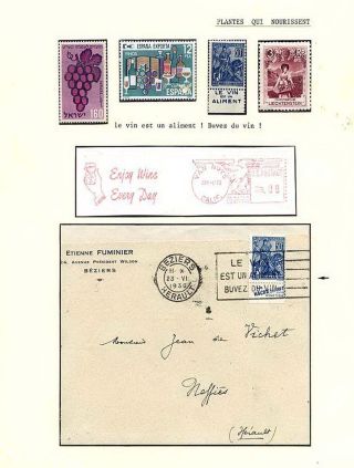 PLANT LIFE ON EARTH – sheet 37