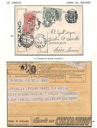 PLANT LIFE ON EARTH – sheet 50