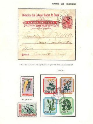 PLANT LIFE ON EARTH – sheet 64