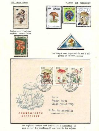 PLANT LIFE ON EARTH – sheet 66