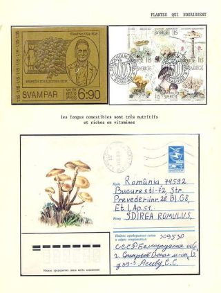 PLANT LIFE ON EARTH – sheet 67