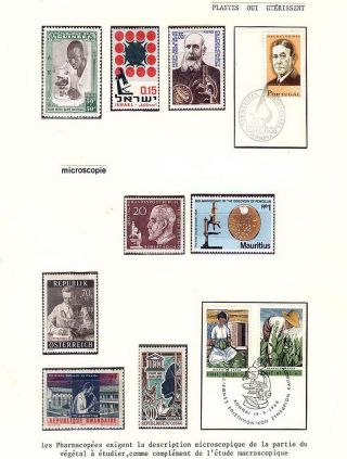 PLANT LIFE ON EARTH – sheet 80
