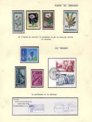 PLANT LIFE ON EARTH – sheet 86