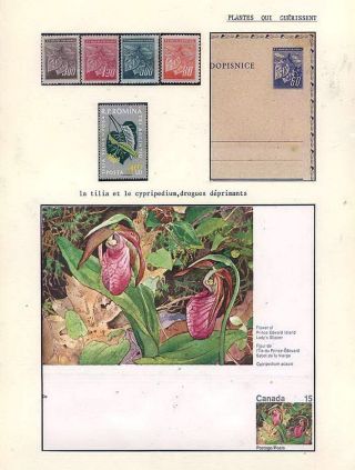 PLANT LIFE ON EARTH – sheet 88