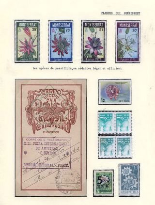 PLANT LIFE ON EARTH – sheet 89