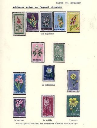PLANT LIFE ON EARTH – sheet 90