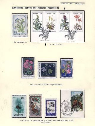 PLANT LIFE ON EARTH – sheet 94
