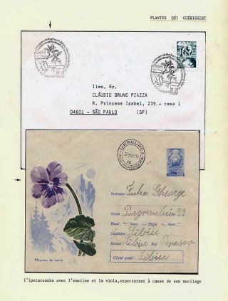 PLANT LIFE ON EARTH – sheet 97