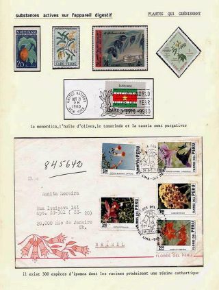 PLANT LIFE ON EARTH – sheet 98