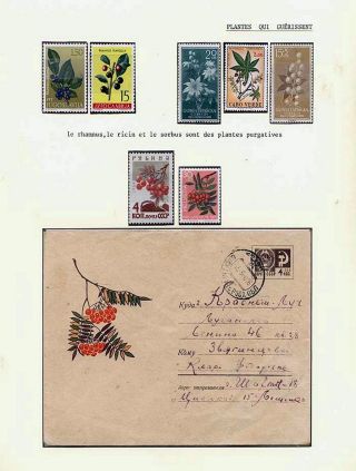 PLANT LIFE ON EARTH – sheet 99