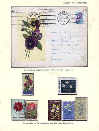 PLANT LIFE ON EARTH – sheet 102