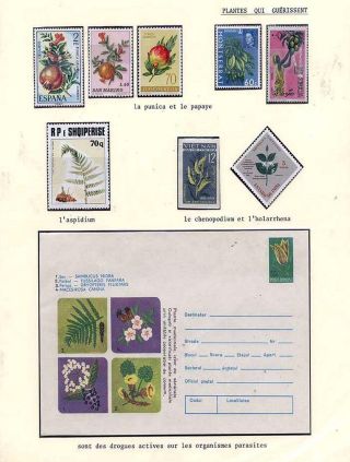 PLANT LIFE ON EARTH – sheet 104