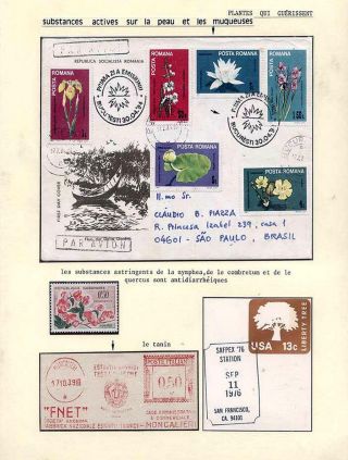 PLANT LIFE ON EARTH – sheet 105