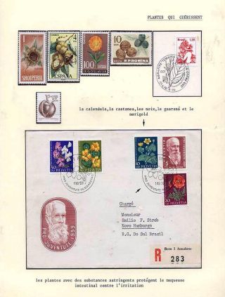PLANT LIFE ON EARTH – sheet 106