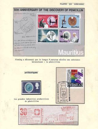 PLANT LIFE ON EARTH – sheet 108