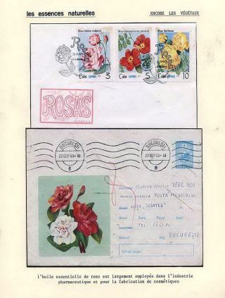 PLANT LIFE ON EARTH – sheet 122