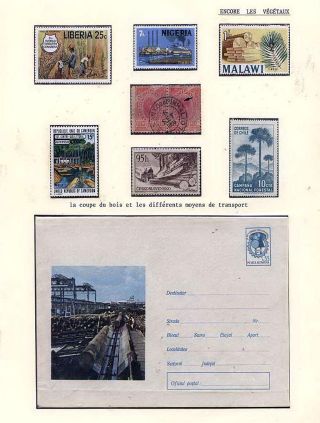 PLANT LIFE ON EARTH – sheet 130